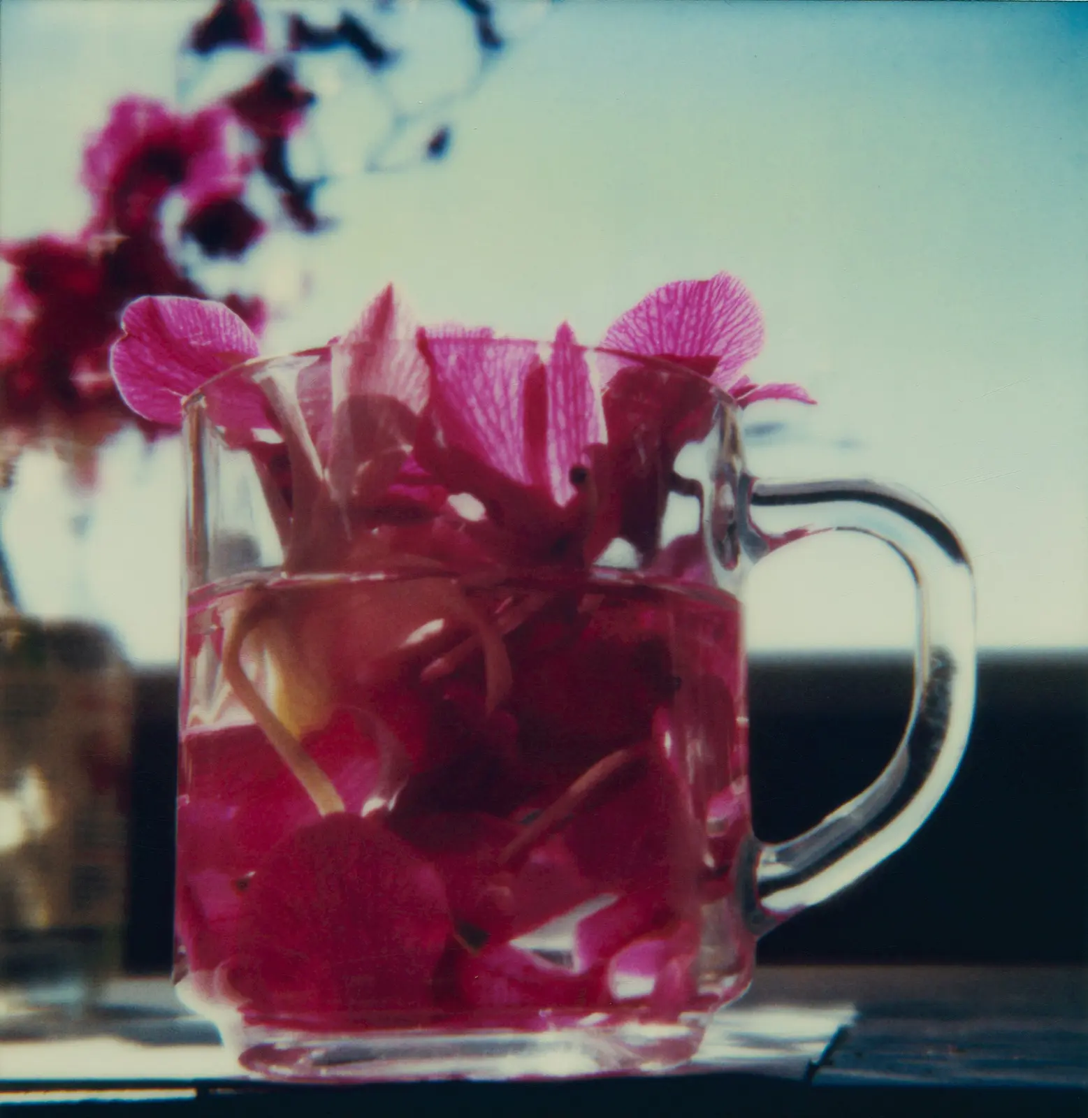 L.A. Polaroids image 9