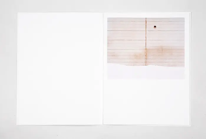 The North Eastern Estates image 3