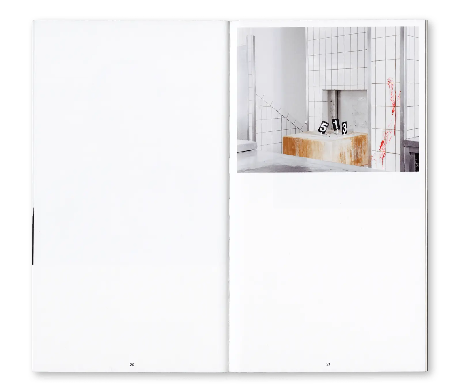 The Perfect Crime: Concerning the Murder of Reality image 3