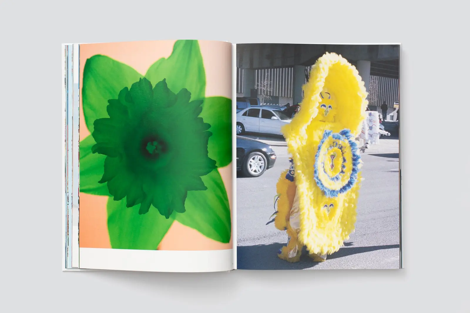 Spare No Expense image 4