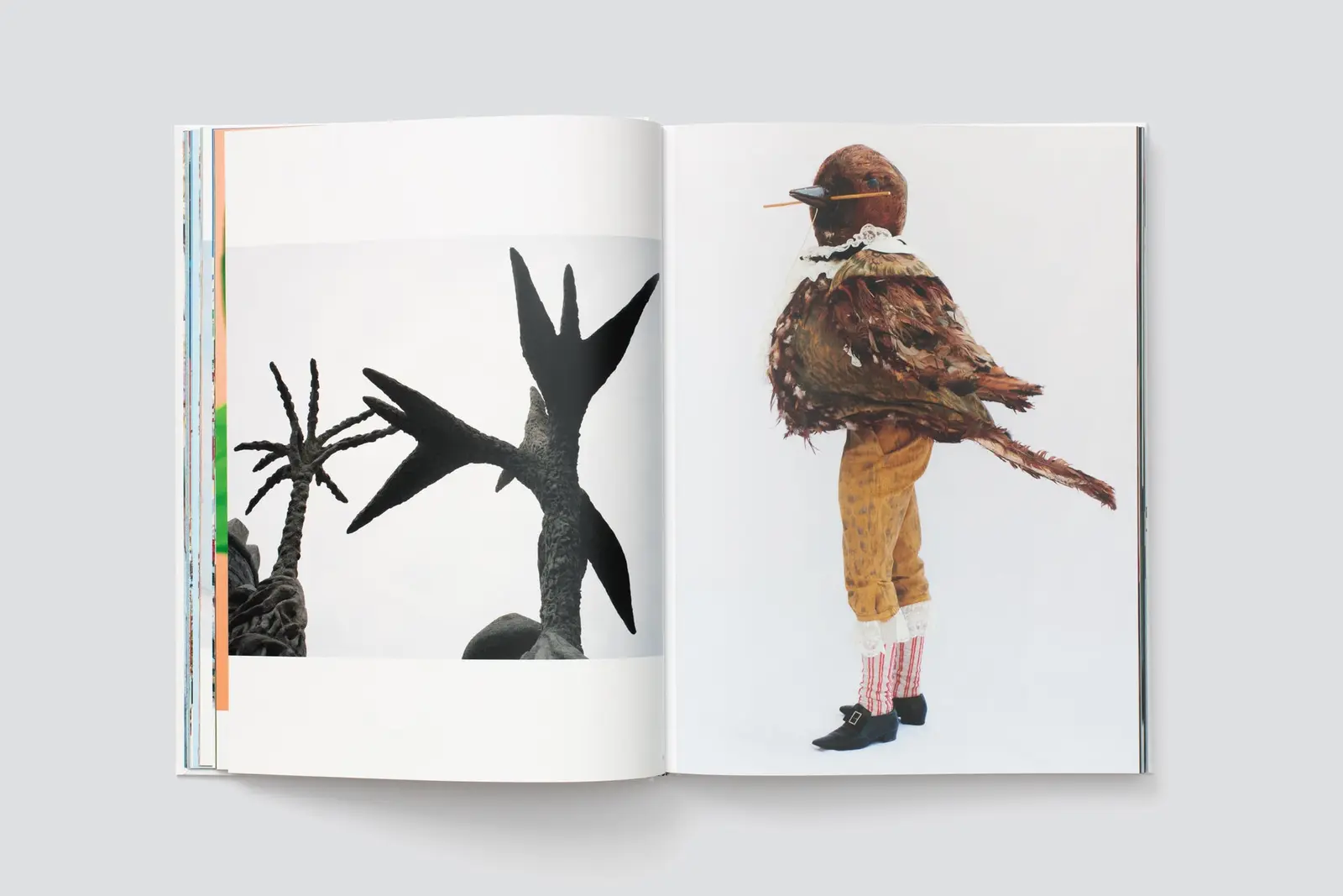 Spare No Expense image 5