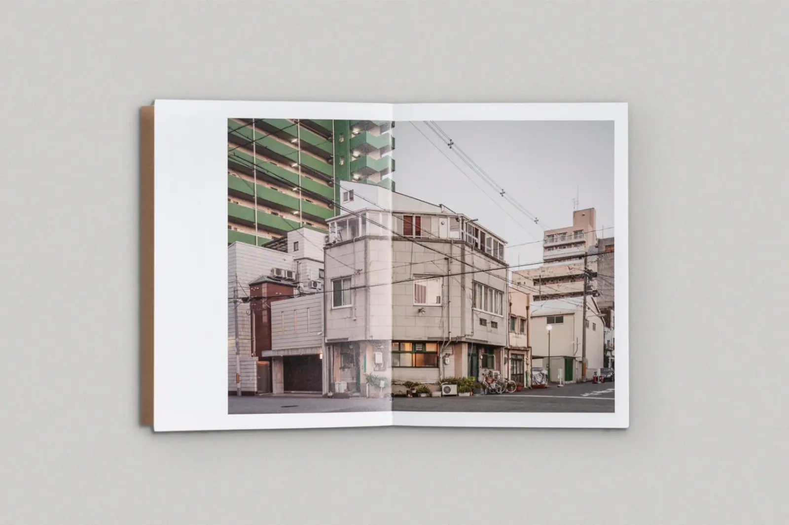 The Death and Life of Great Asian Cities Vol II image 10