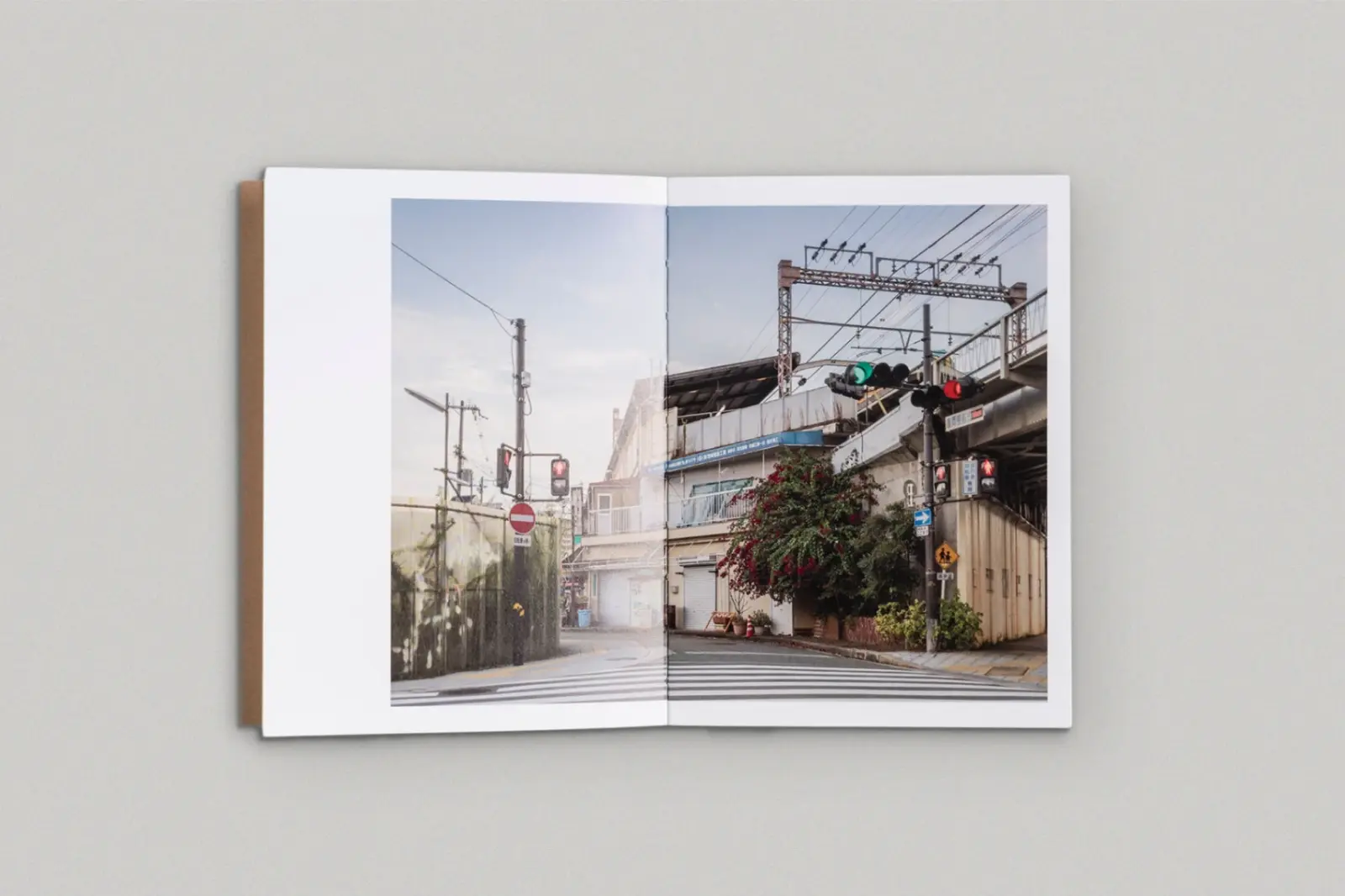 The Death and Life of Great Asian Cities Vol II image 2