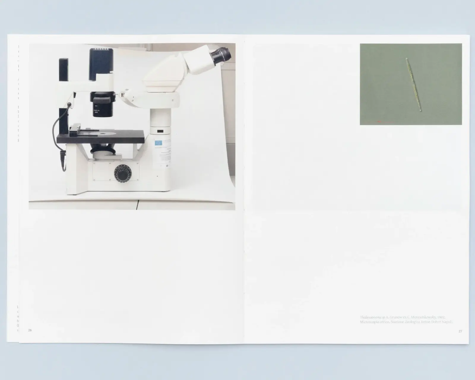 Terra Di Diatomee image 6