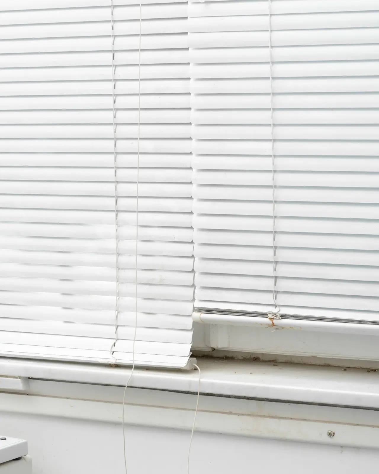 Terra Di Diatomee image 8