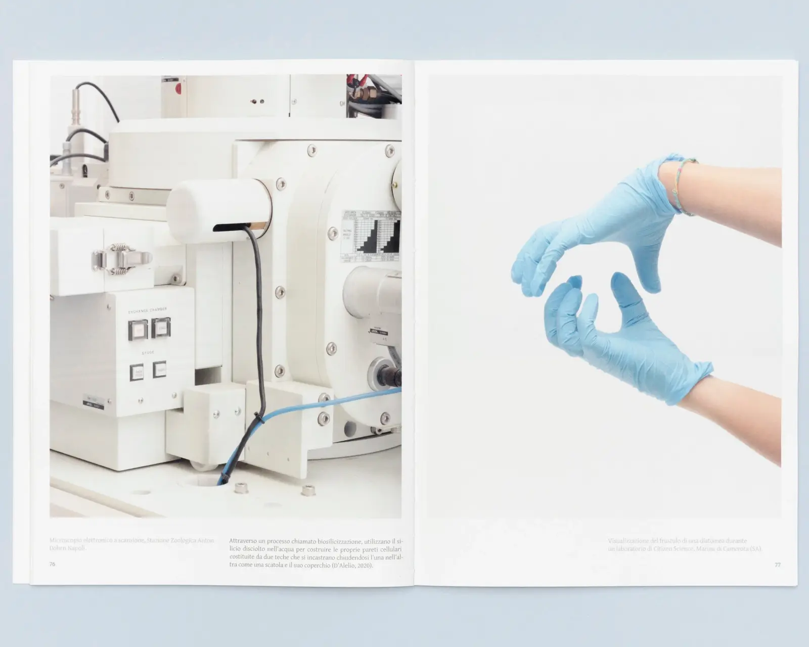 Terra Di Diatomee image 9