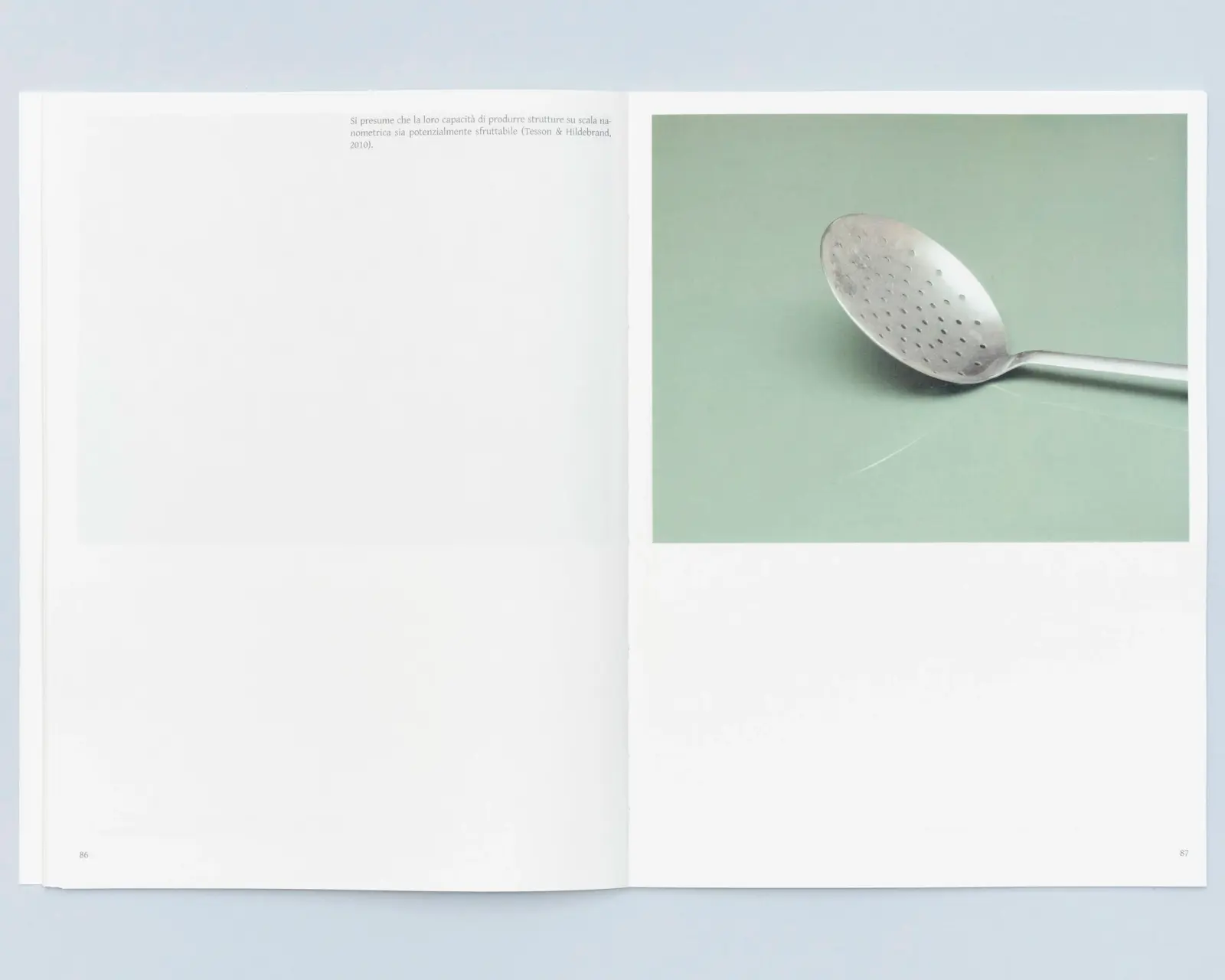 Terra Di Diatomee image 10