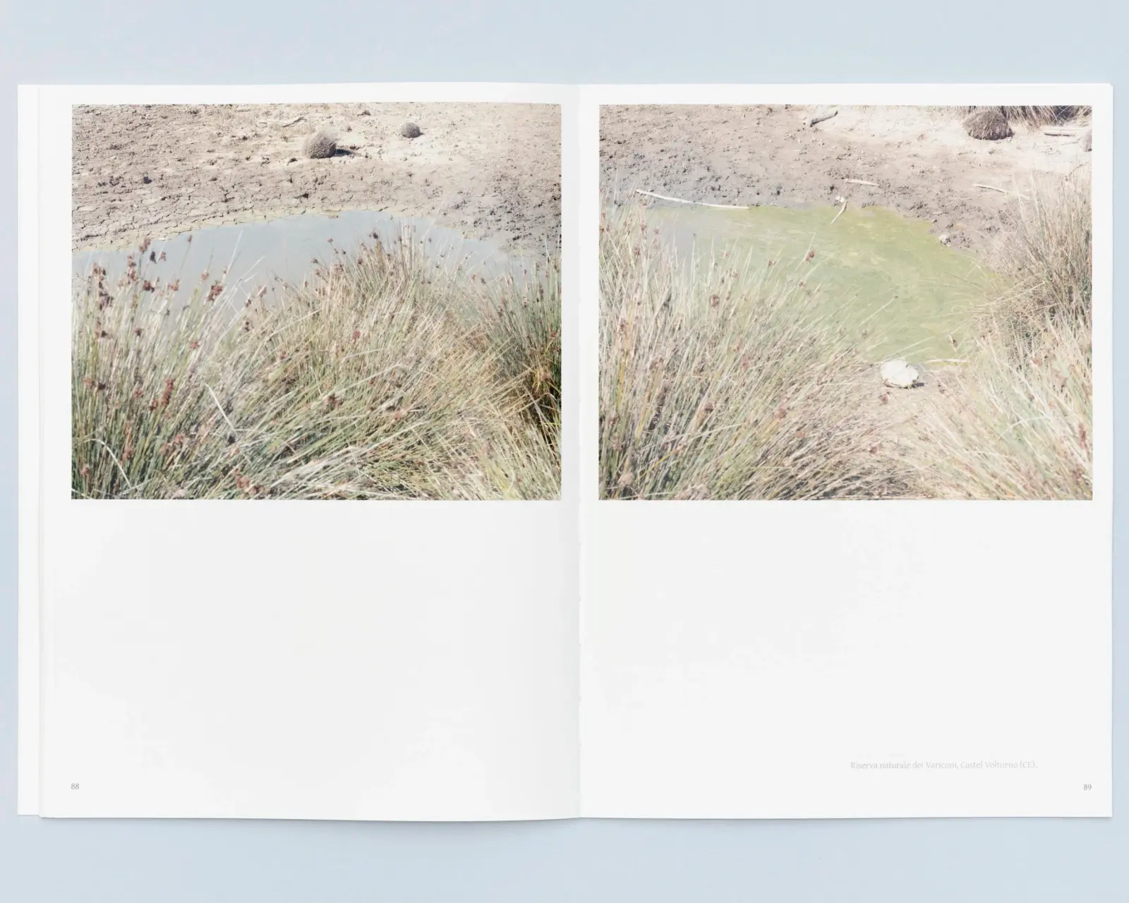 Terra Di Diatomee image 11