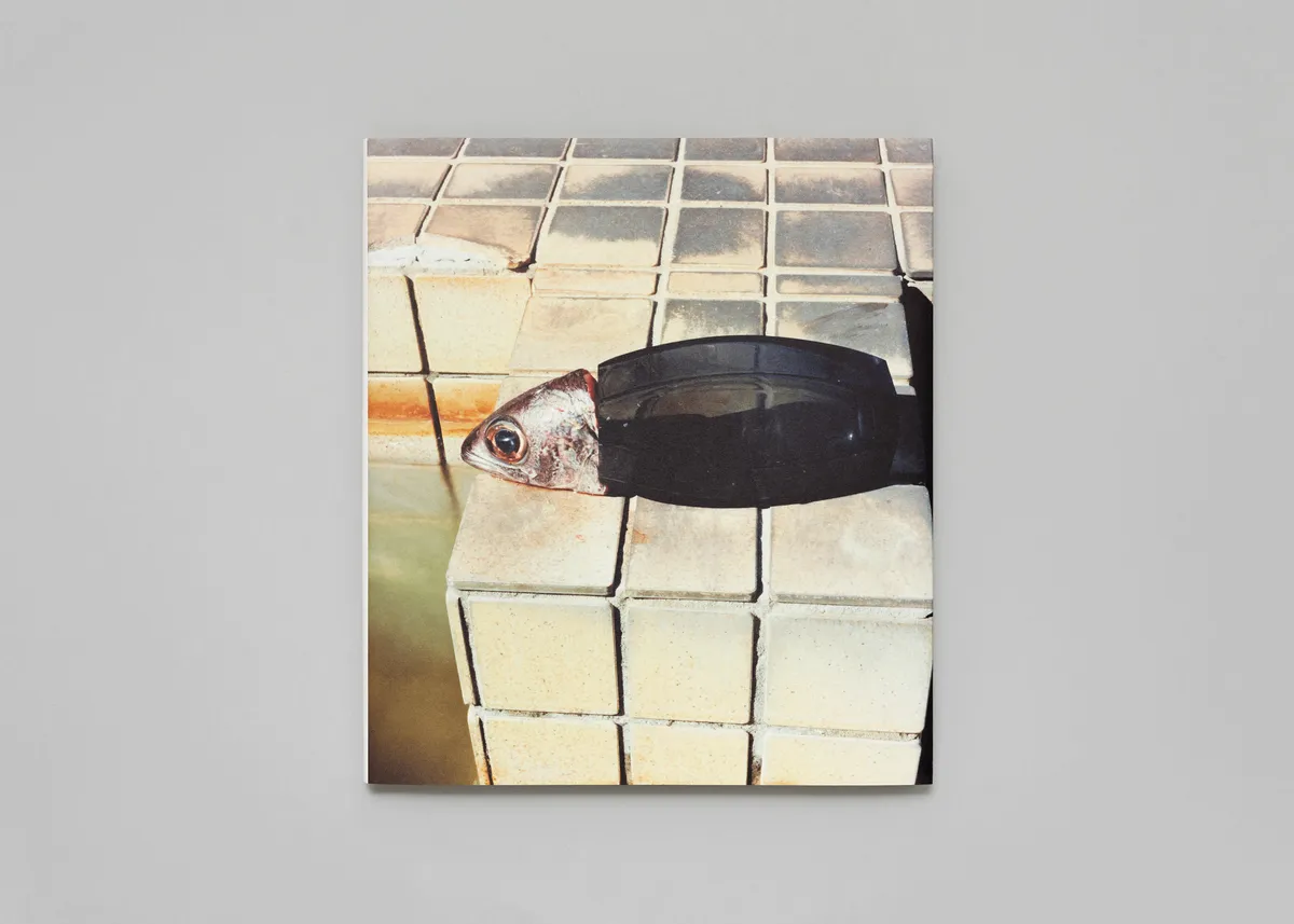 Tokyo Fishgraphs | 2020