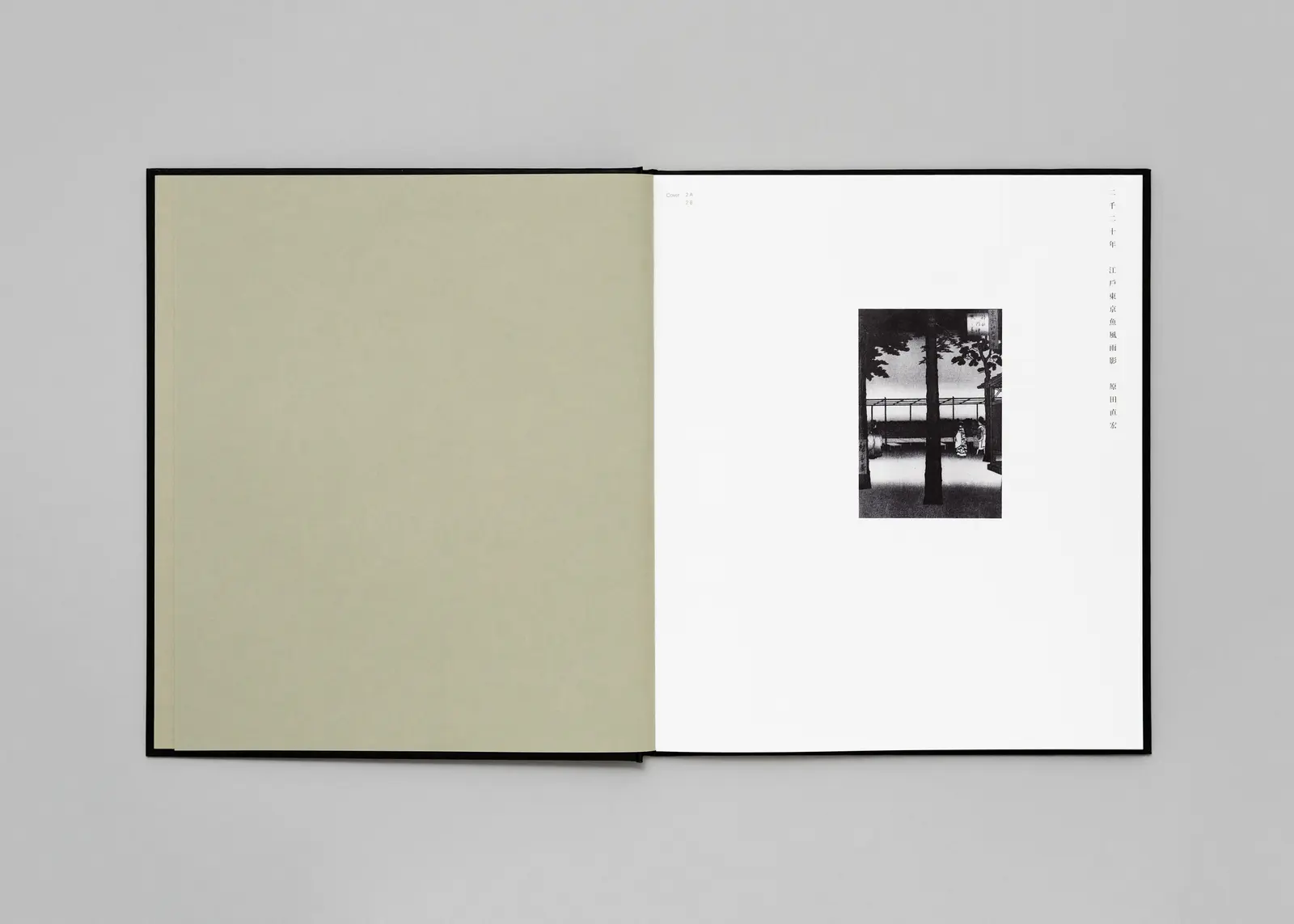 Tokyo Fishgraphs | 2020 image 2