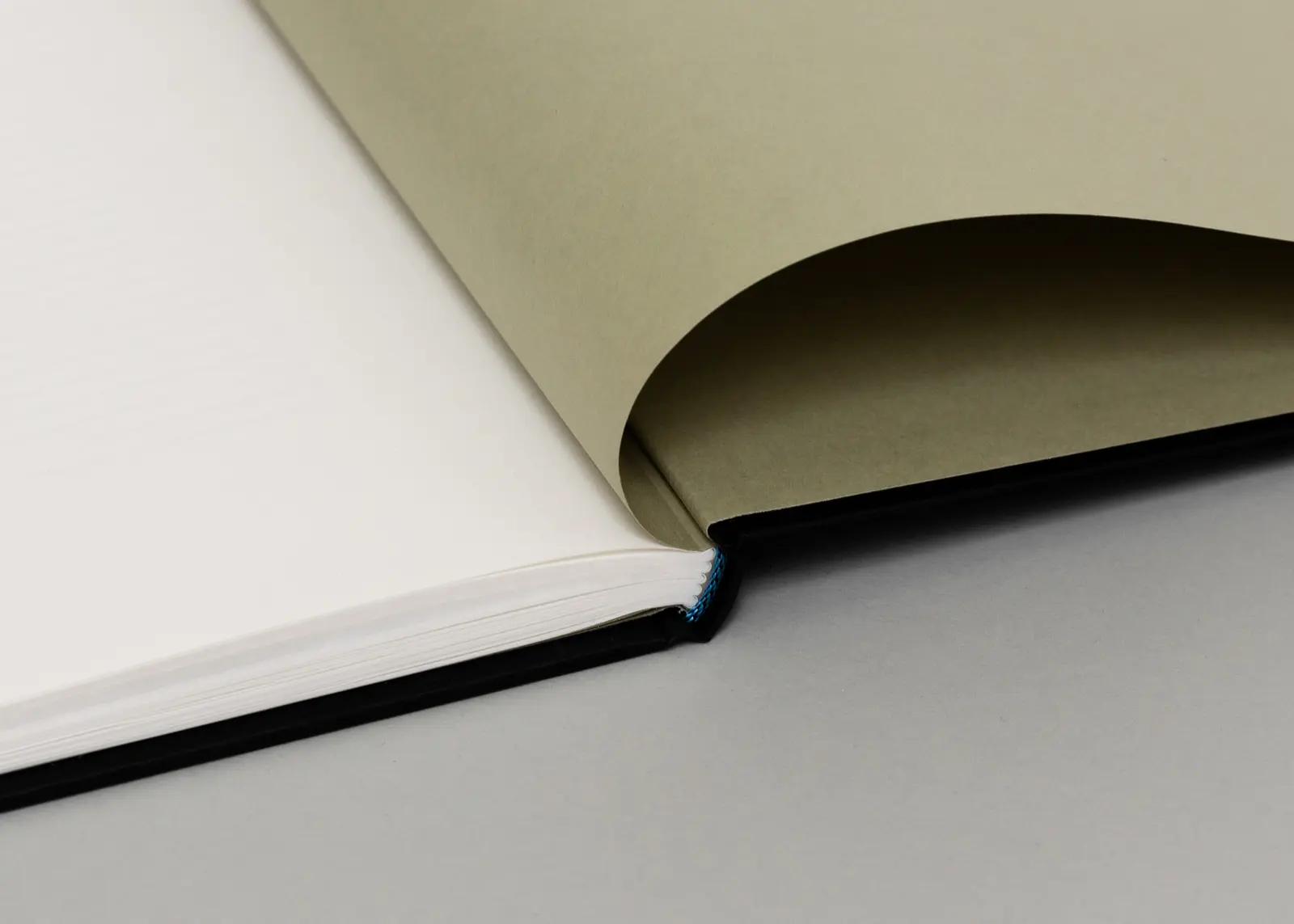 Tokyo Fishgraphs | 2020 image 5