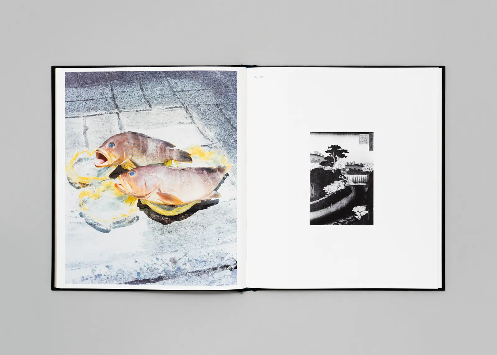 Tokyo Fishgraphs | 2020 image 6