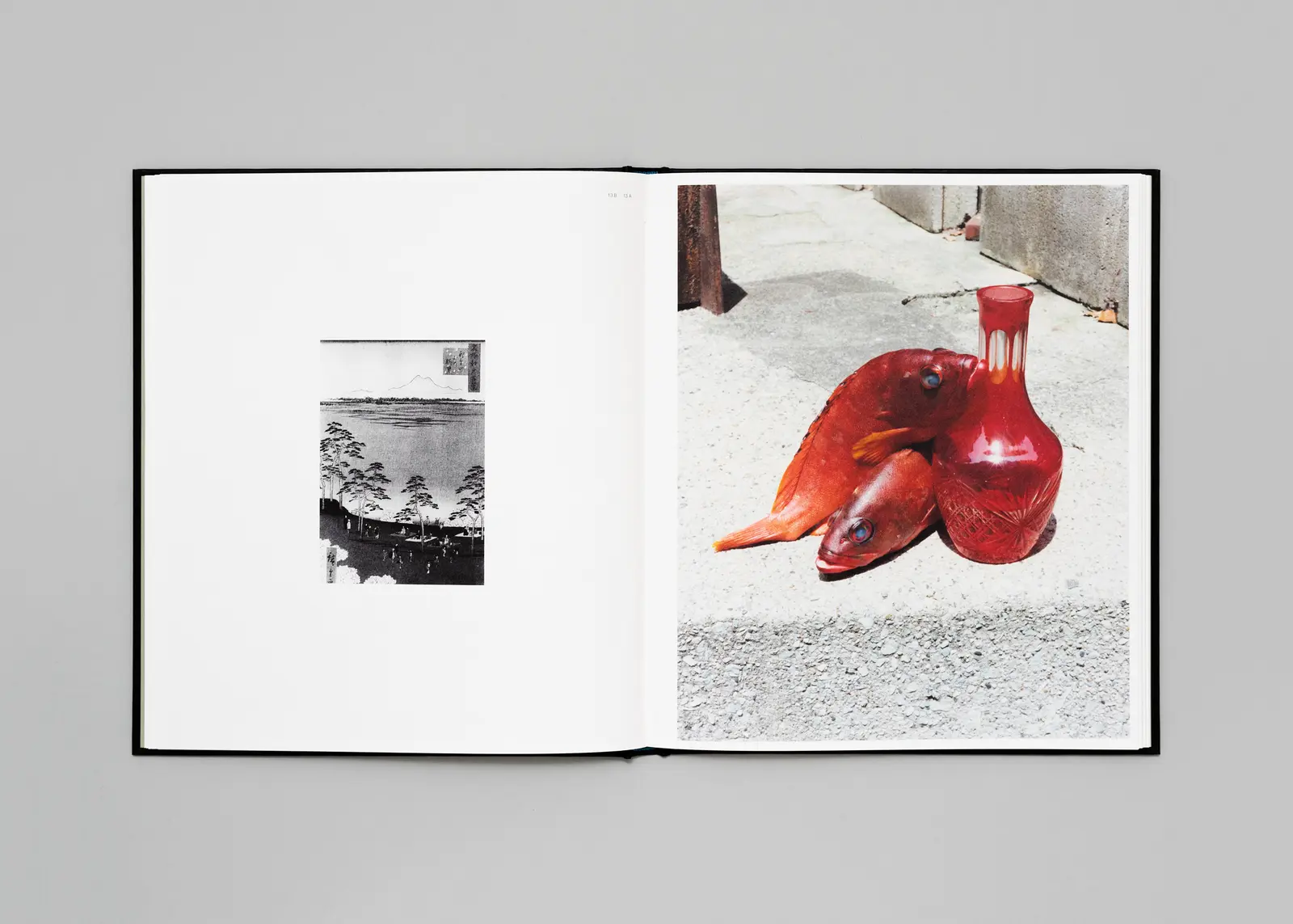 Tokyo Fishgraphs | 2020 image 7