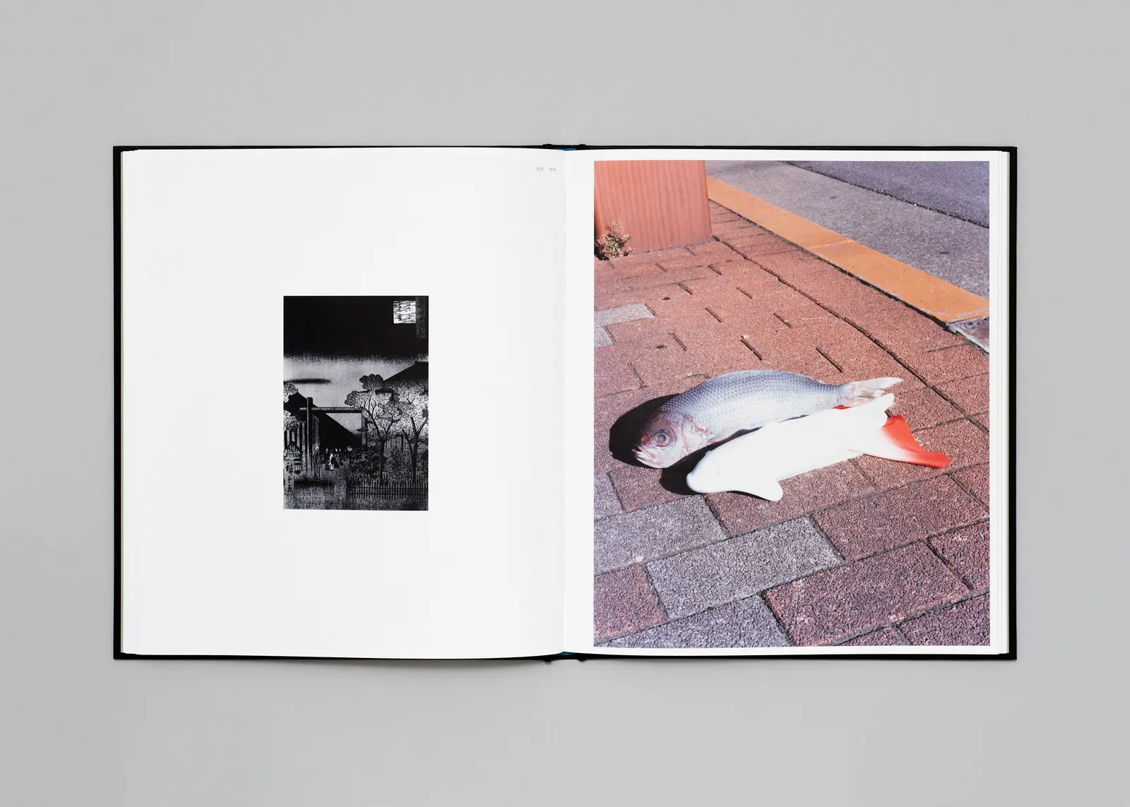 Tokyo Fishgraphs | 2020 image 9