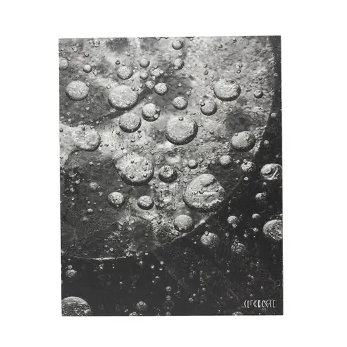 Where We Come From and Where We Might Go image 9