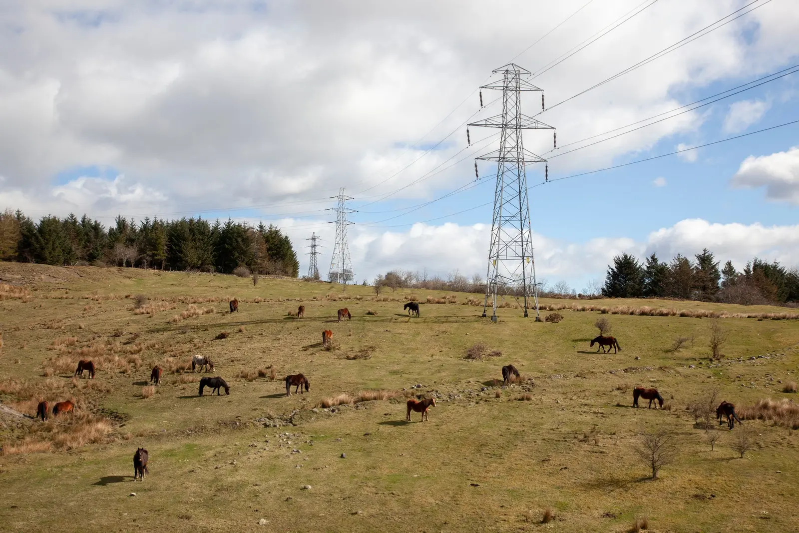 Cwm: The Fair Country image 5