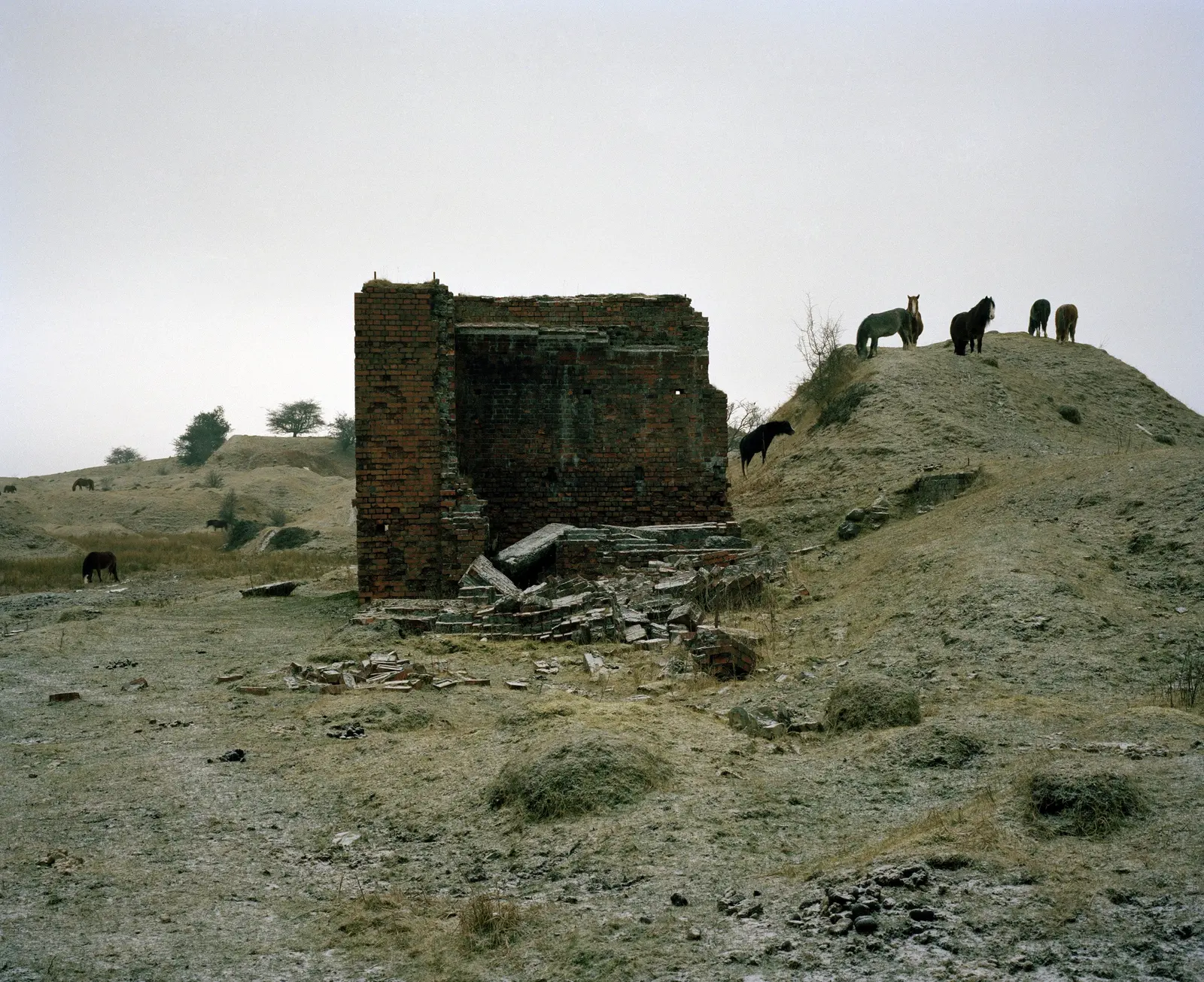 Cwm: The Fair Country image 7