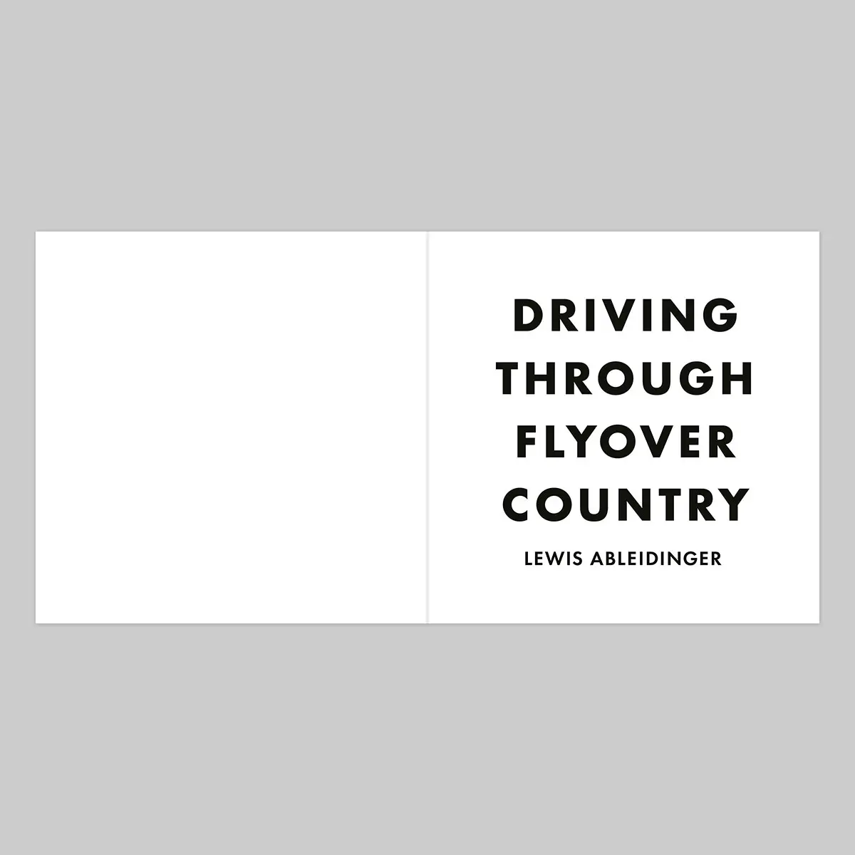 Driving Through Flyover Country image 3