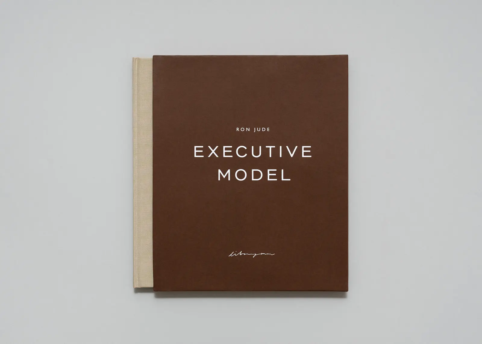 Executive Model image 2