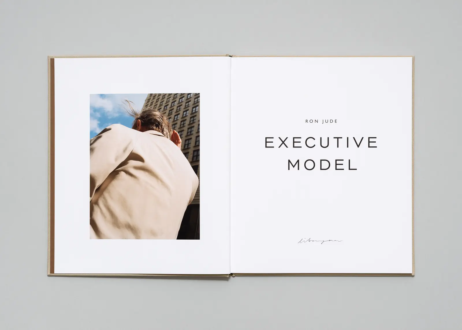 Executive Model image 3