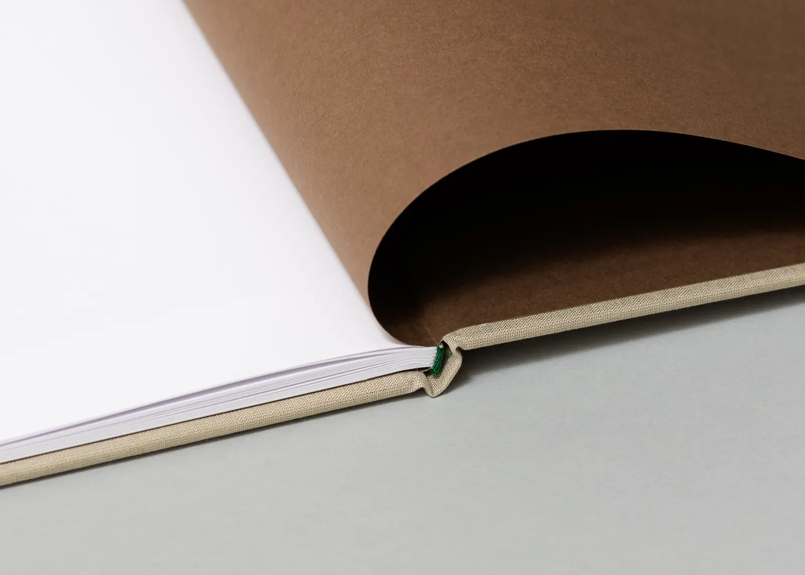 Executive Model image 5