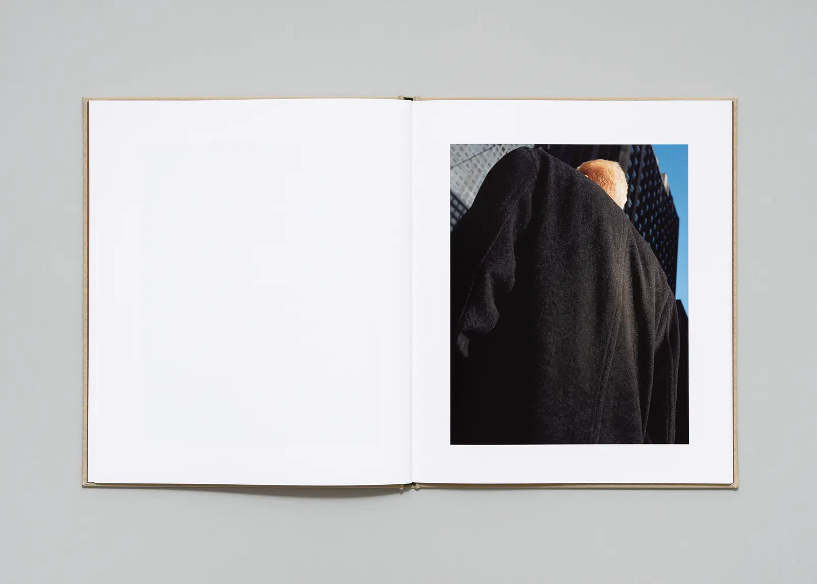 Executive Model image 6