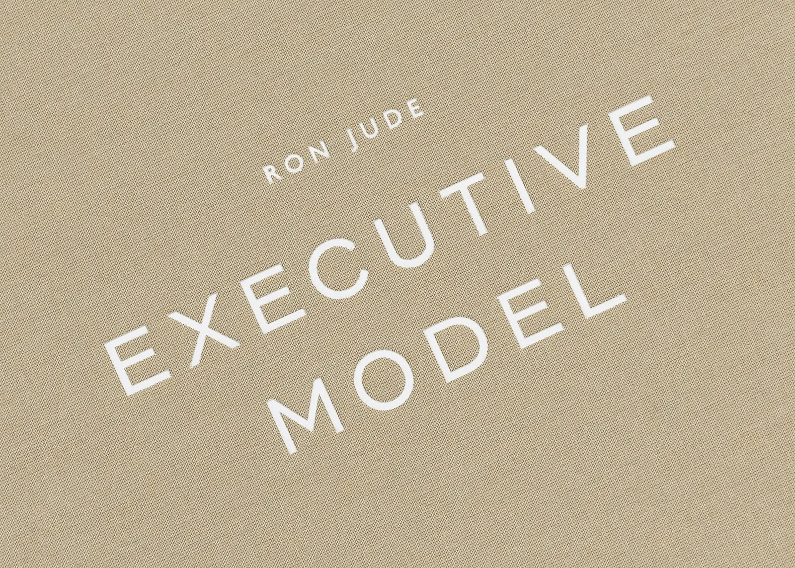 Executive Model image 8