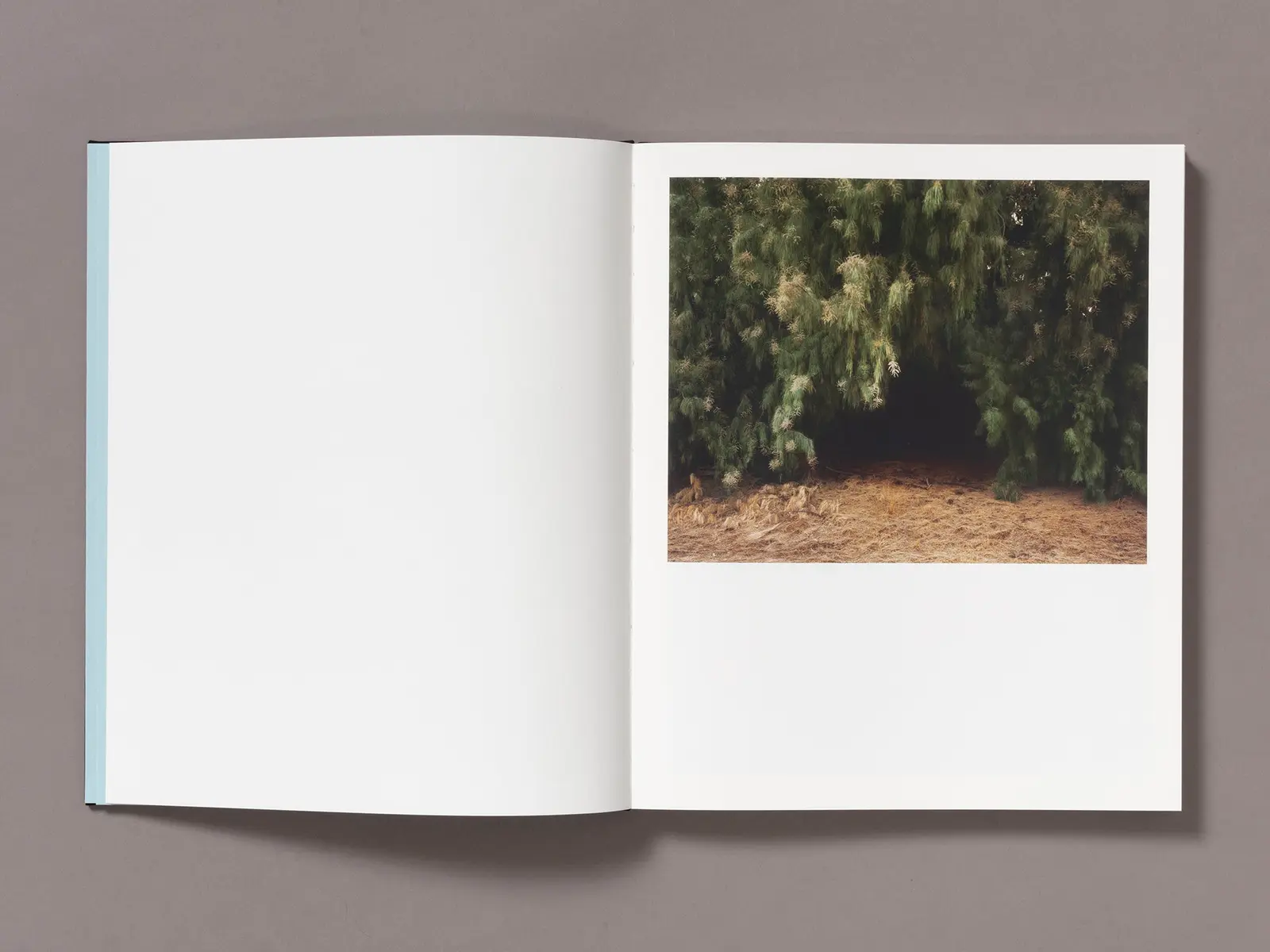 A Poor Sort of Memory image 2