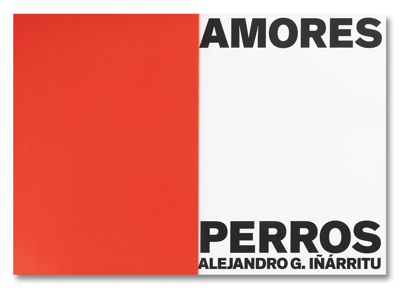 Amores Perros image 2