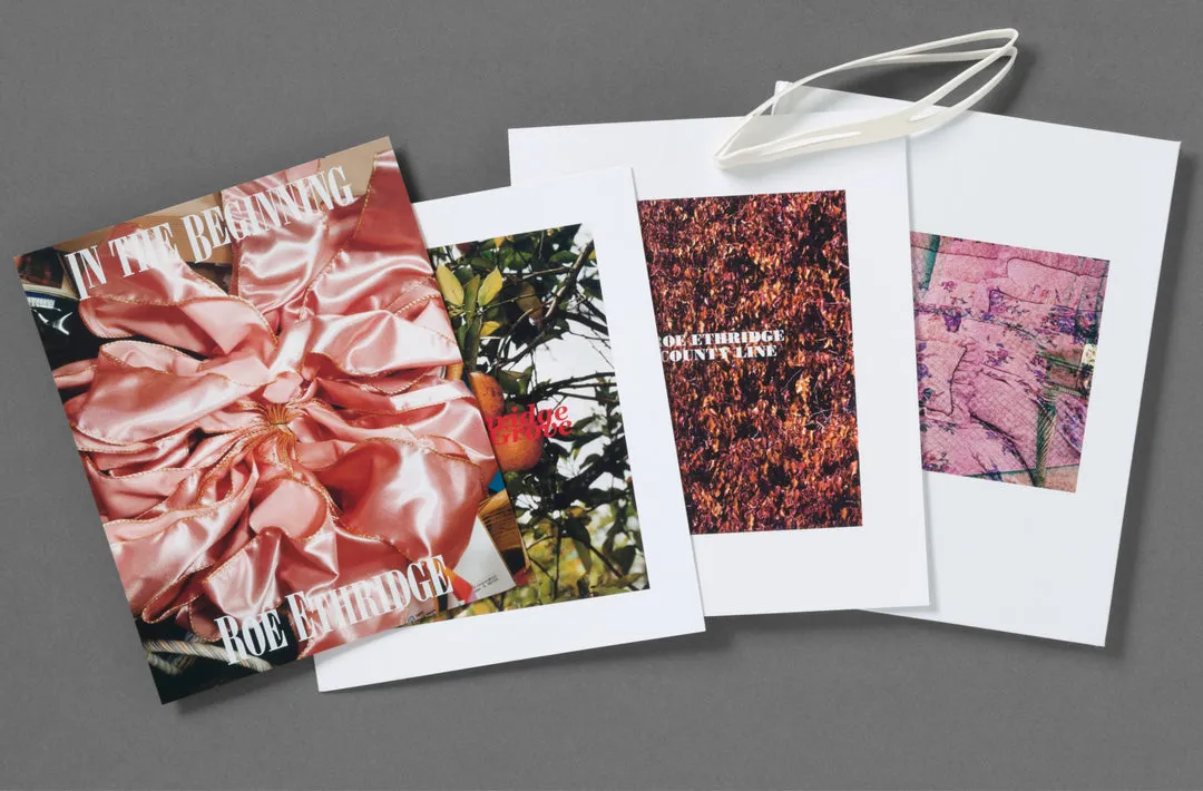 In the Beginning image 2