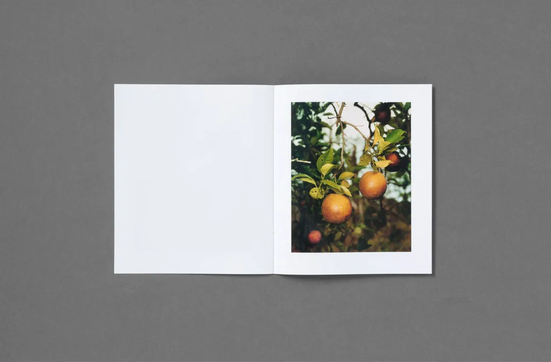 In the Beginning image 5