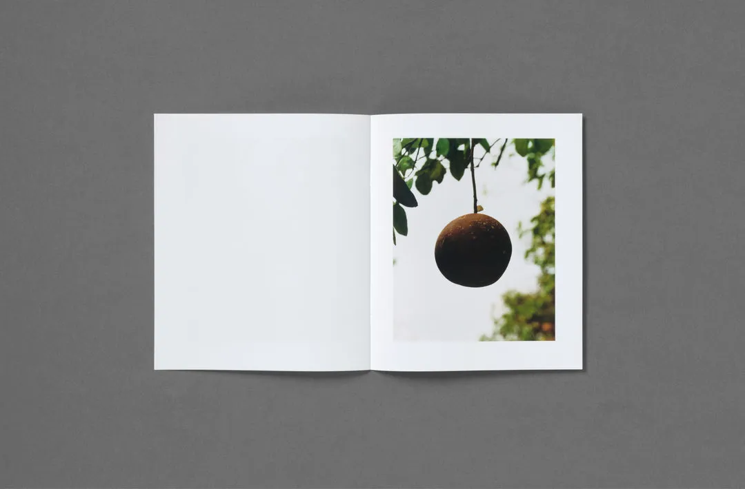 In the Beginning image 6