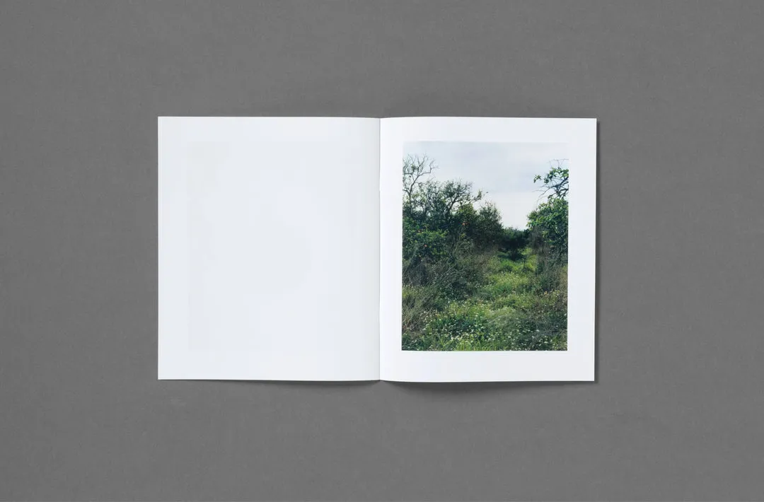 In the Beginning image 7