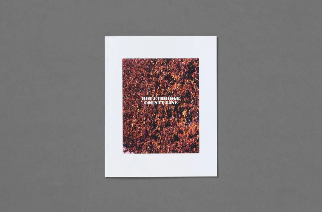 In the Beginning image 8