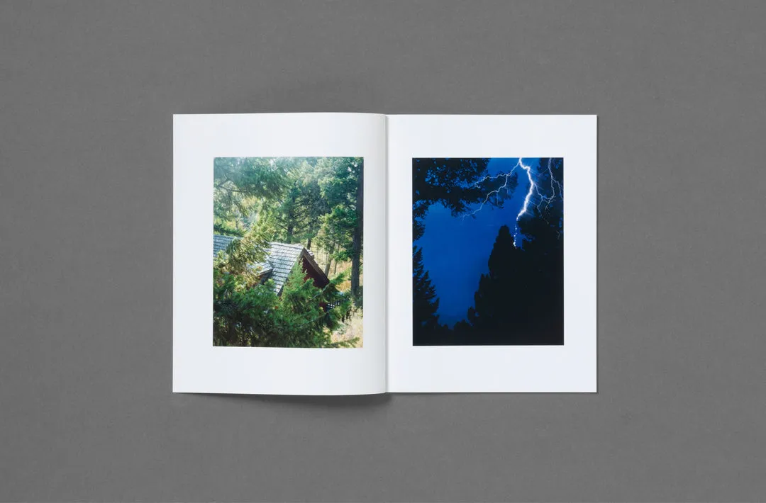 In the Beginning image 11