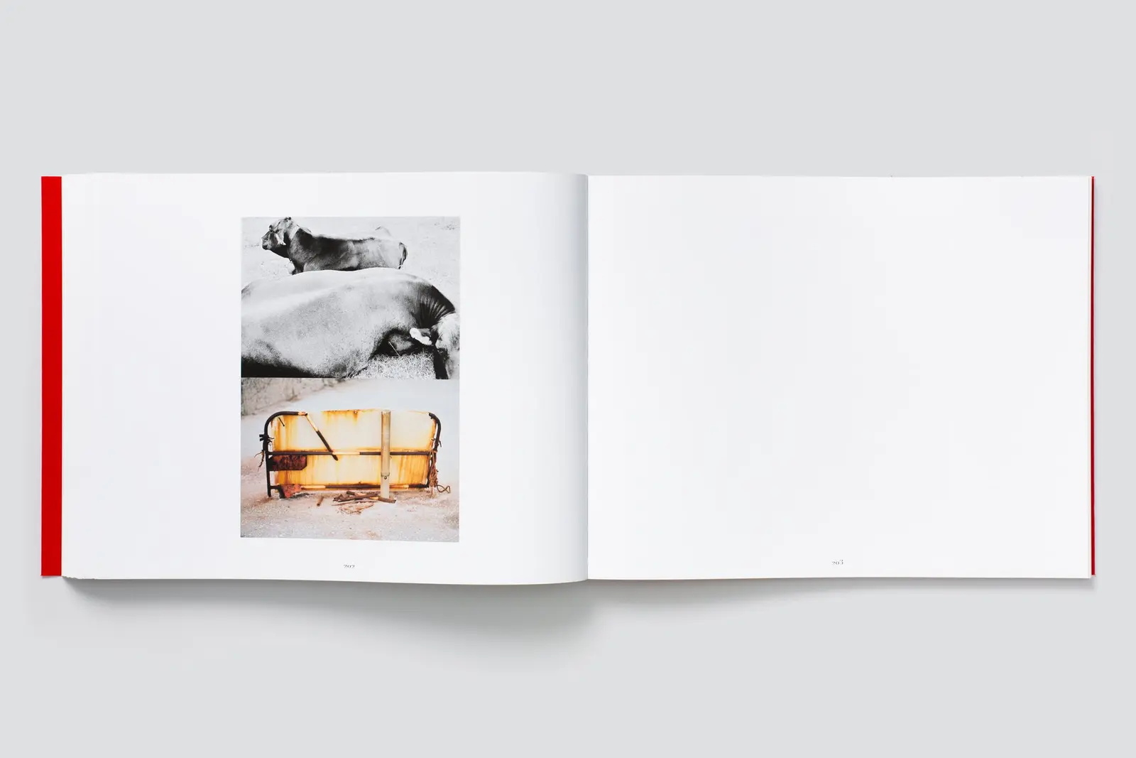 Chom Hee Zo Mee image 11