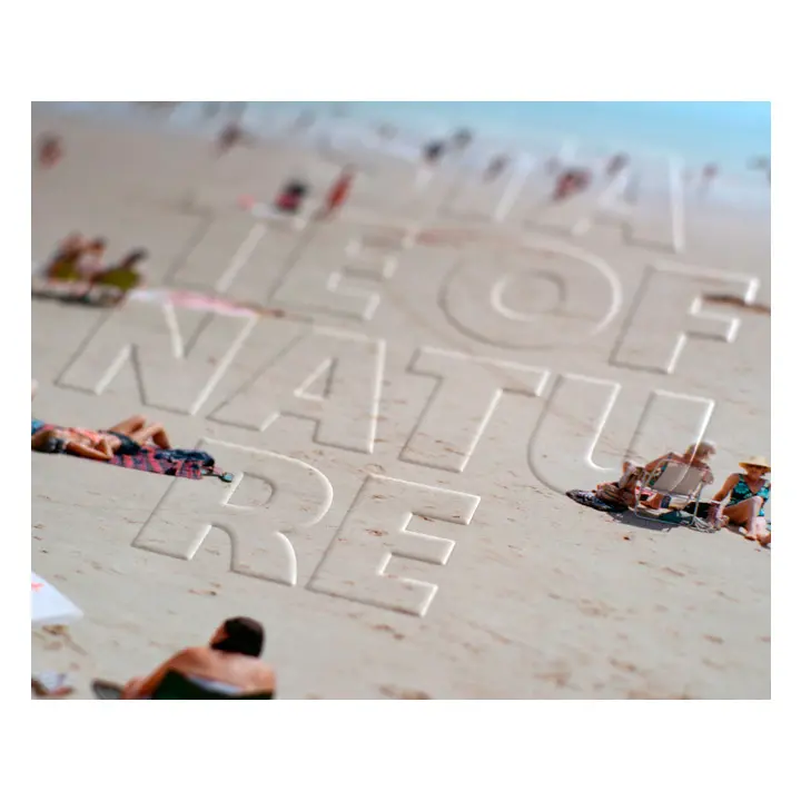 State Of Nature image 4