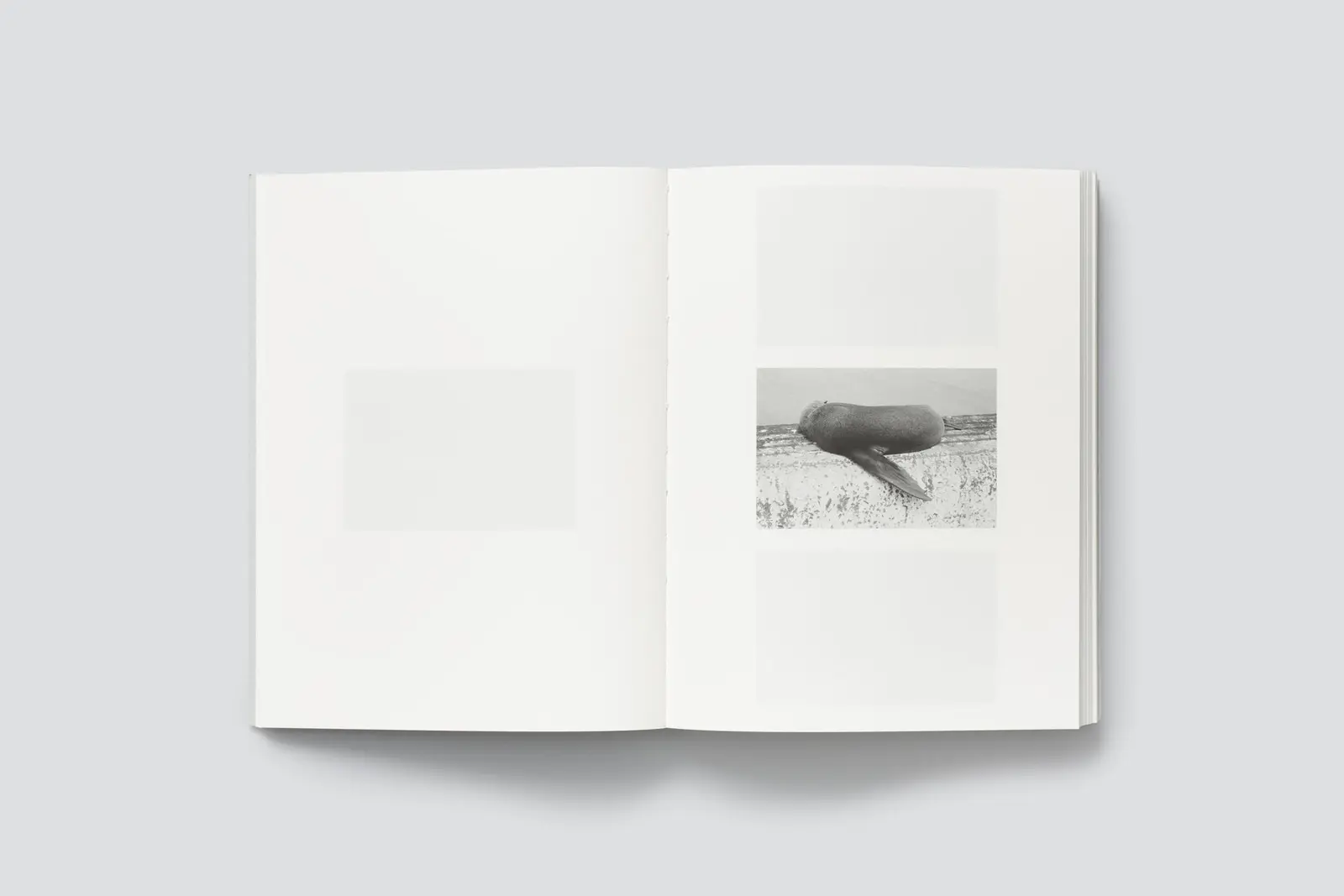 Of Forms and Traces Vol. 2 image 3