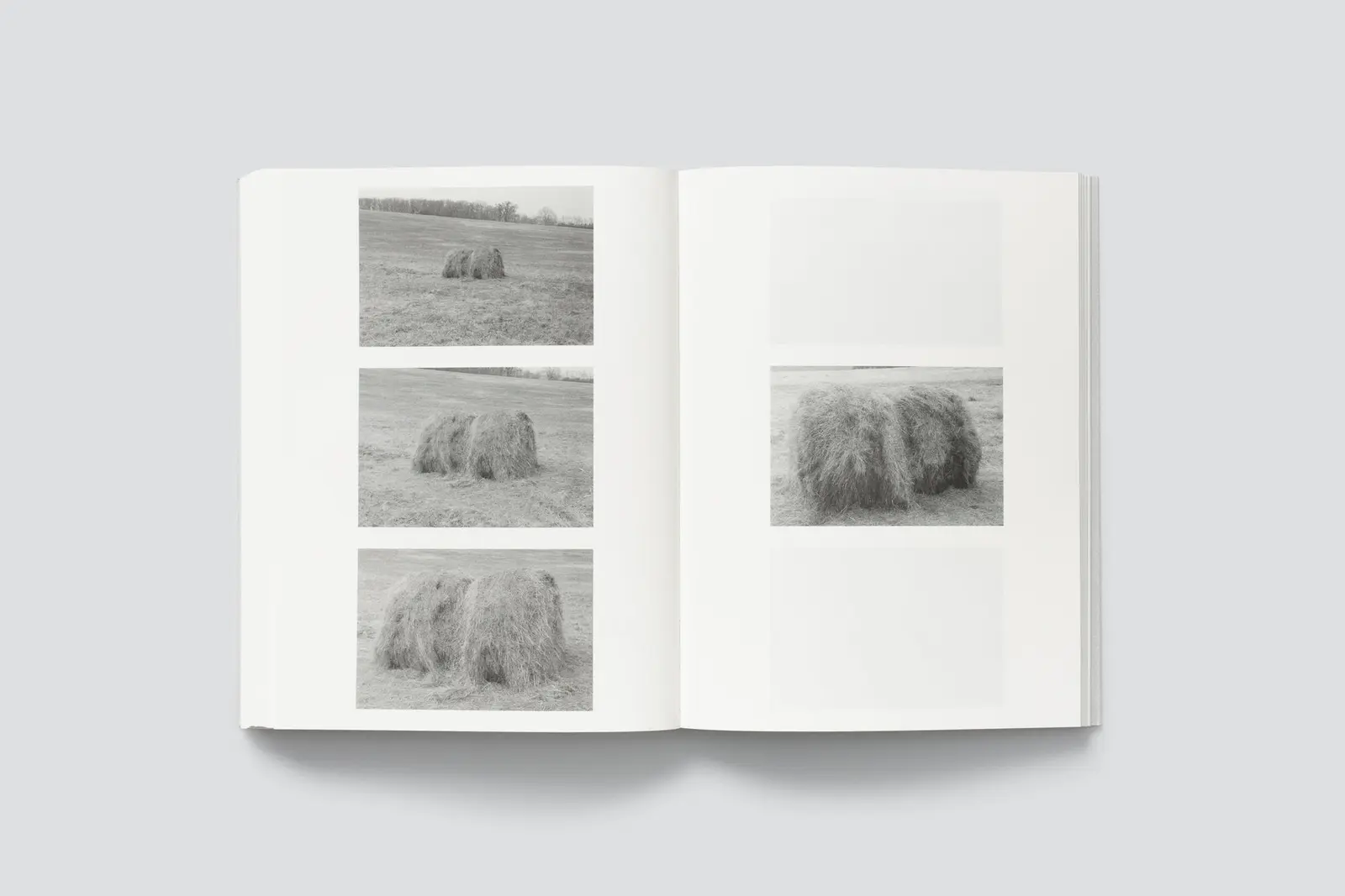 Of Forms and Traces Vol. 2 image 9