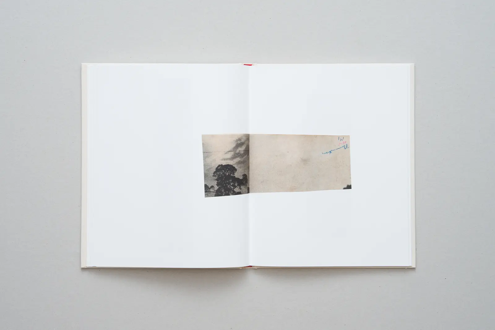 Why I Hate Cars image 9