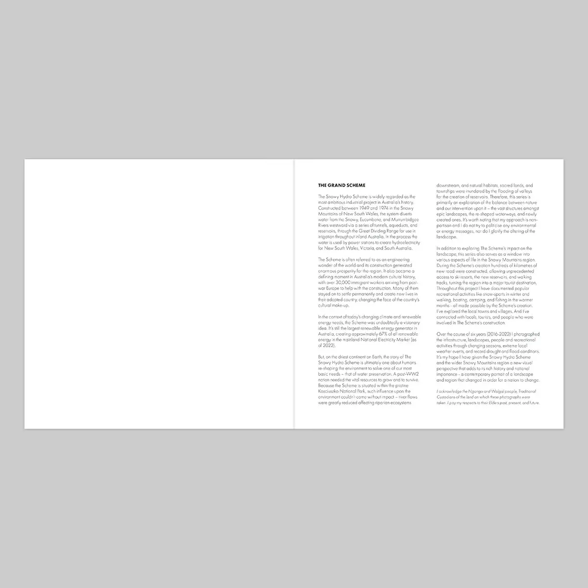 The Grand Scheme image 4