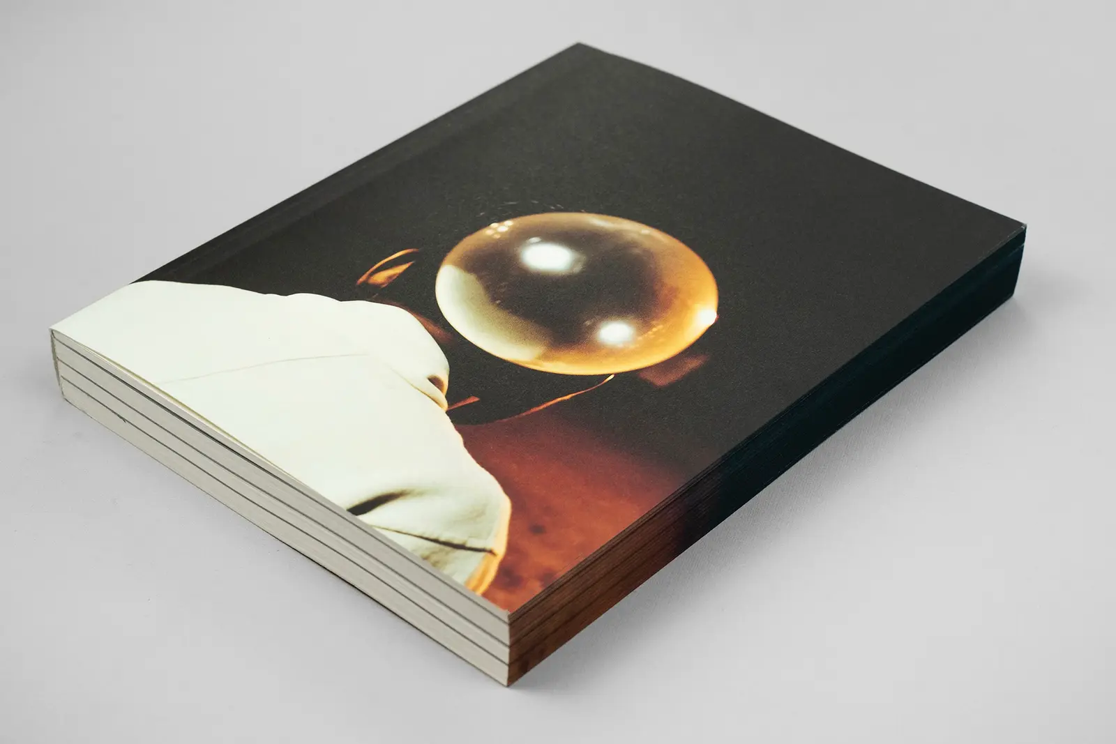 Elephant in the Room image 2