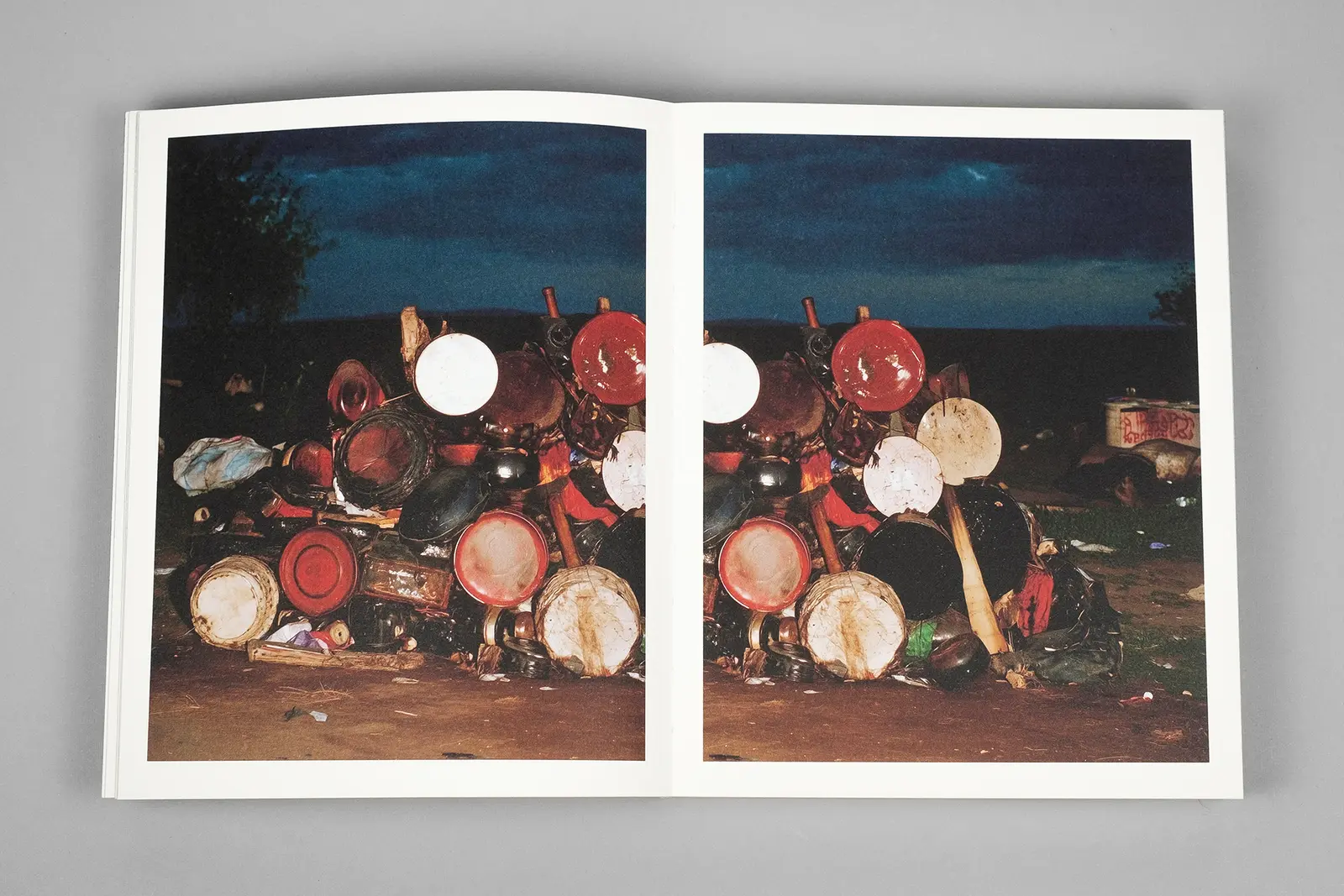 Elephant in the Room image 5