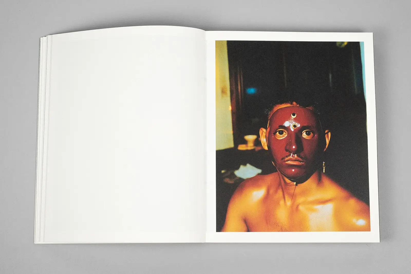 Elephant in the Room image 8