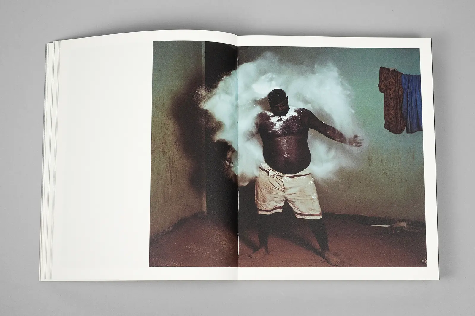 Elephant in the Room image 9