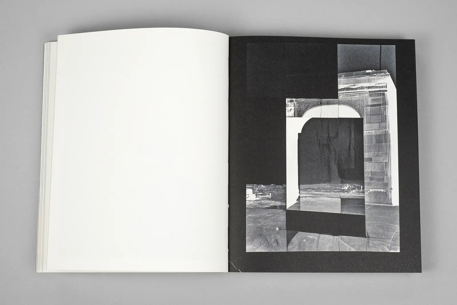 Elephant in the Room image 11