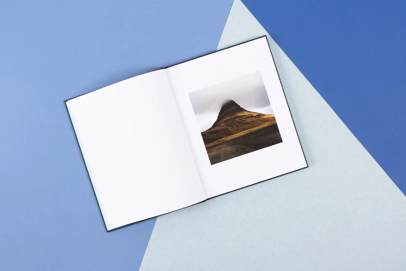 Paradise Falling image 2