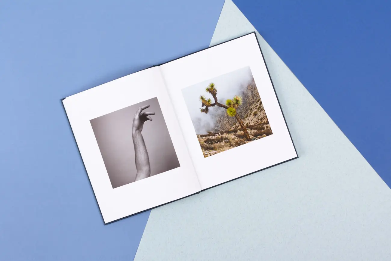 Paradise Falling image 4