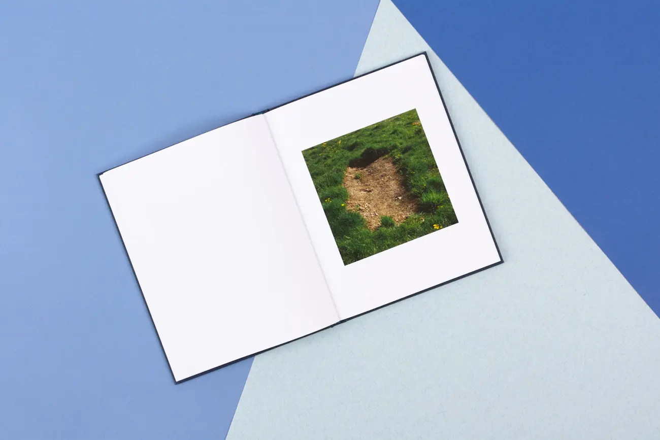 Paradise Falling image 6