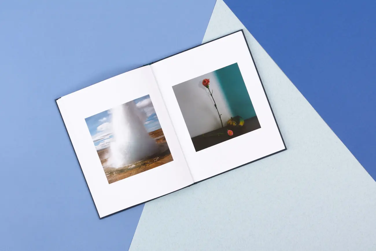 Paradise Falling image 7